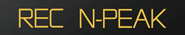 REC N-Peak ground mounted solar panel system header